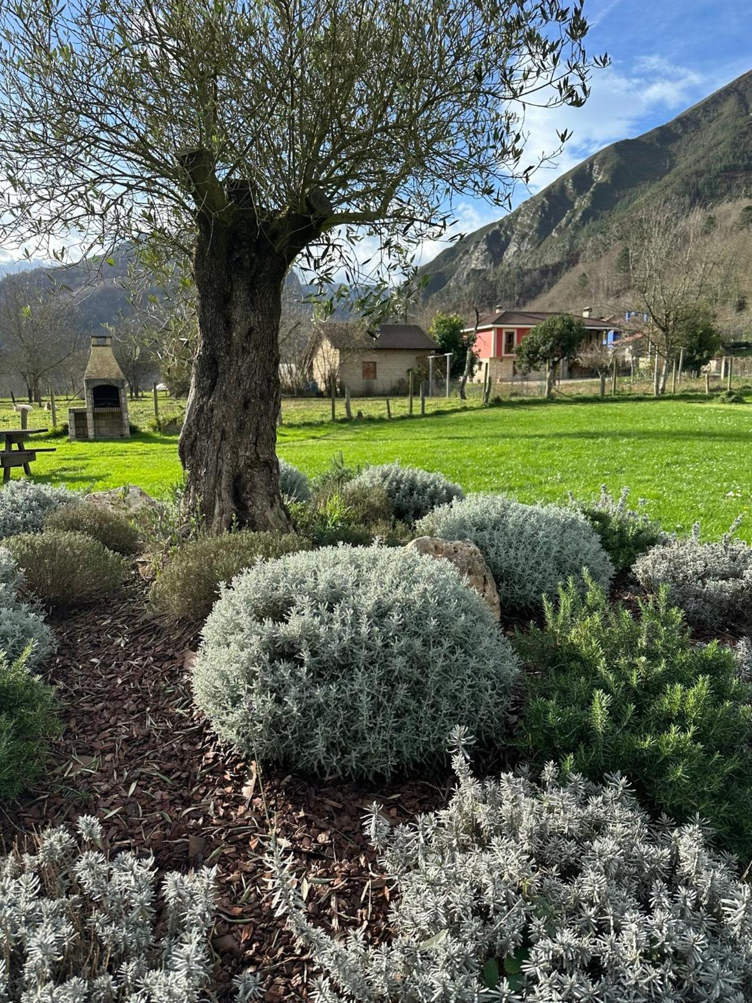Casa Rural Nasares San Juan de Parres Exteriér fotografie